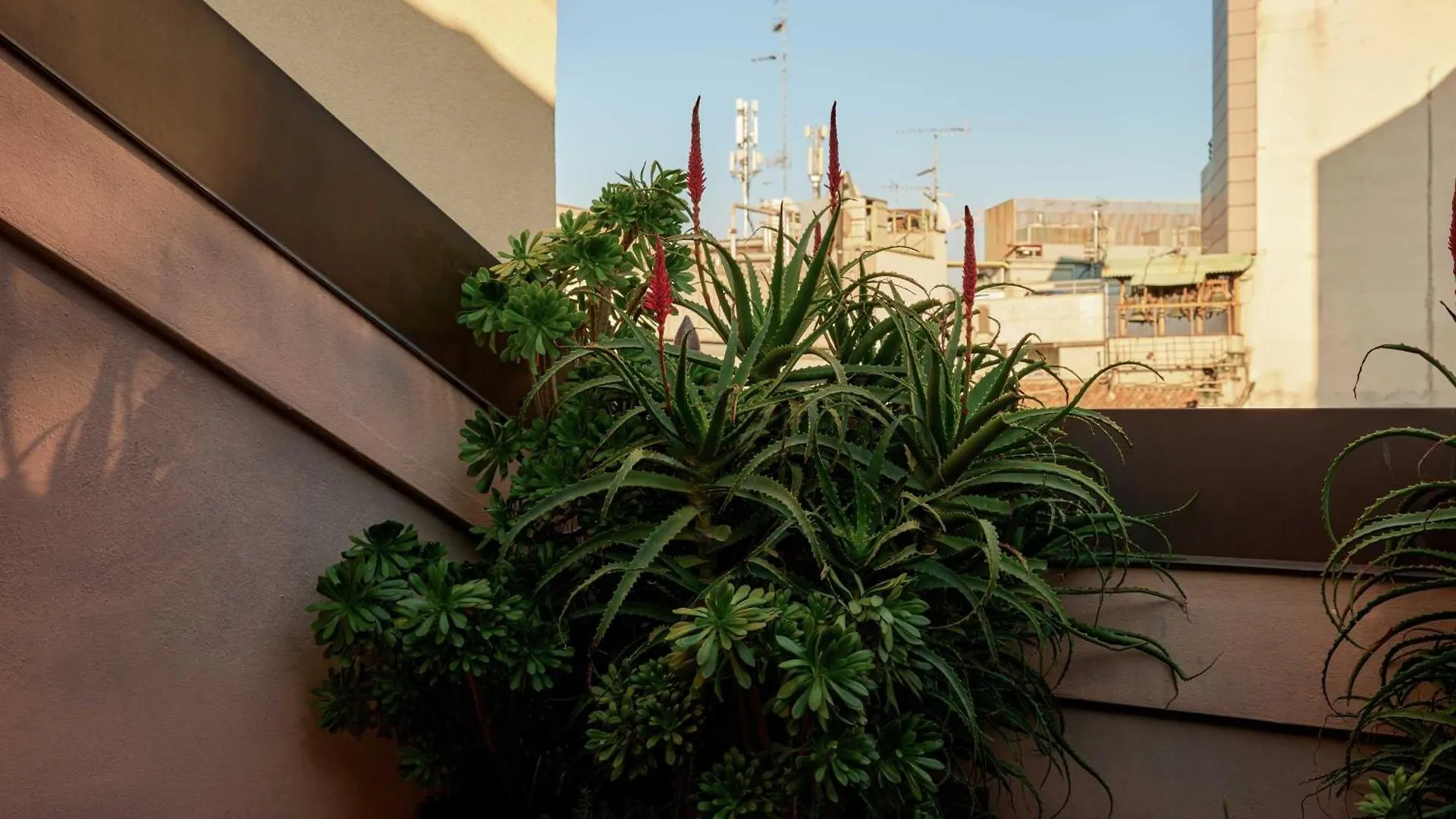 فندق ستراف | واحد من الفنادق البوتيكية location
